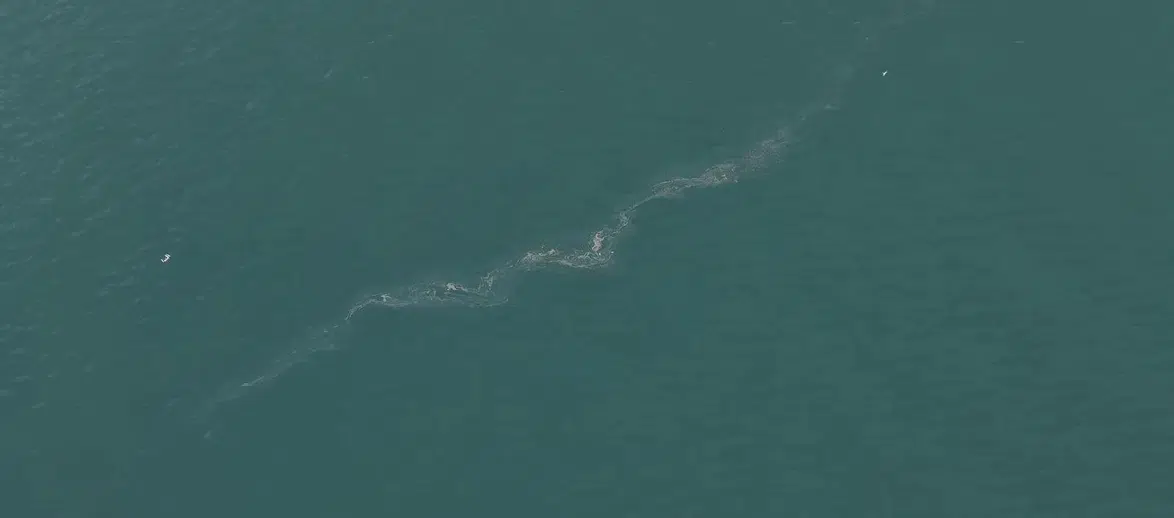 “Sistematik çevre ihlali endişe veriyor”