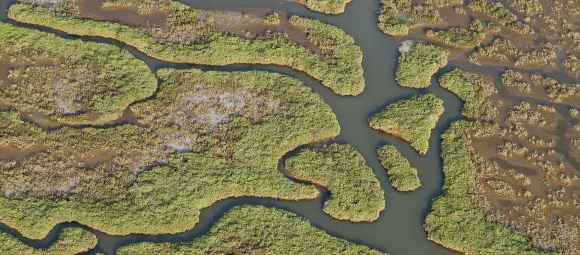 Gediz Havzası’nda kirlilik artıyor