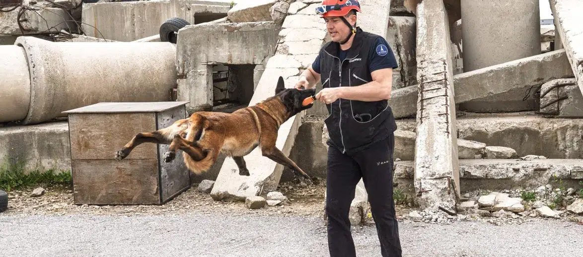 Momo enkaz için eğitiliyor