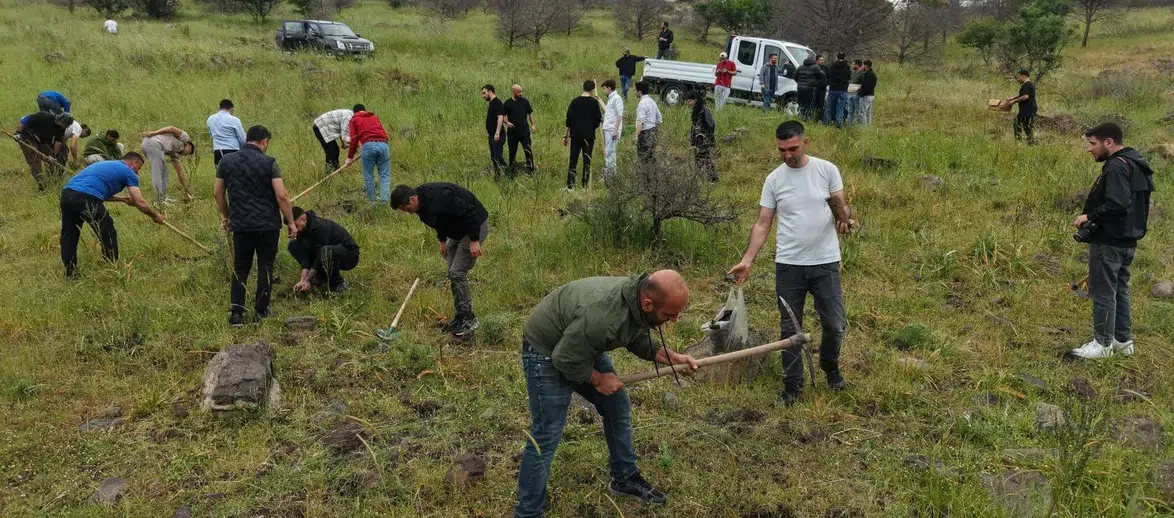 ​Aliağa’da yangınların yarası bin fıstık çamıyla sarıldı