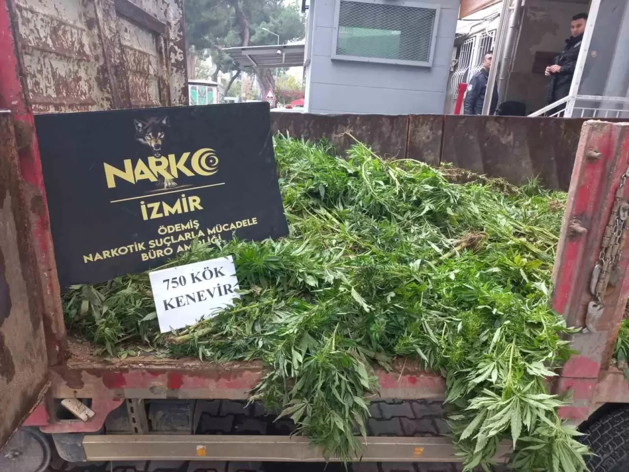 Damda Zehir Tarlası! Ödemiş’te Uyuşturucu Operasyonu