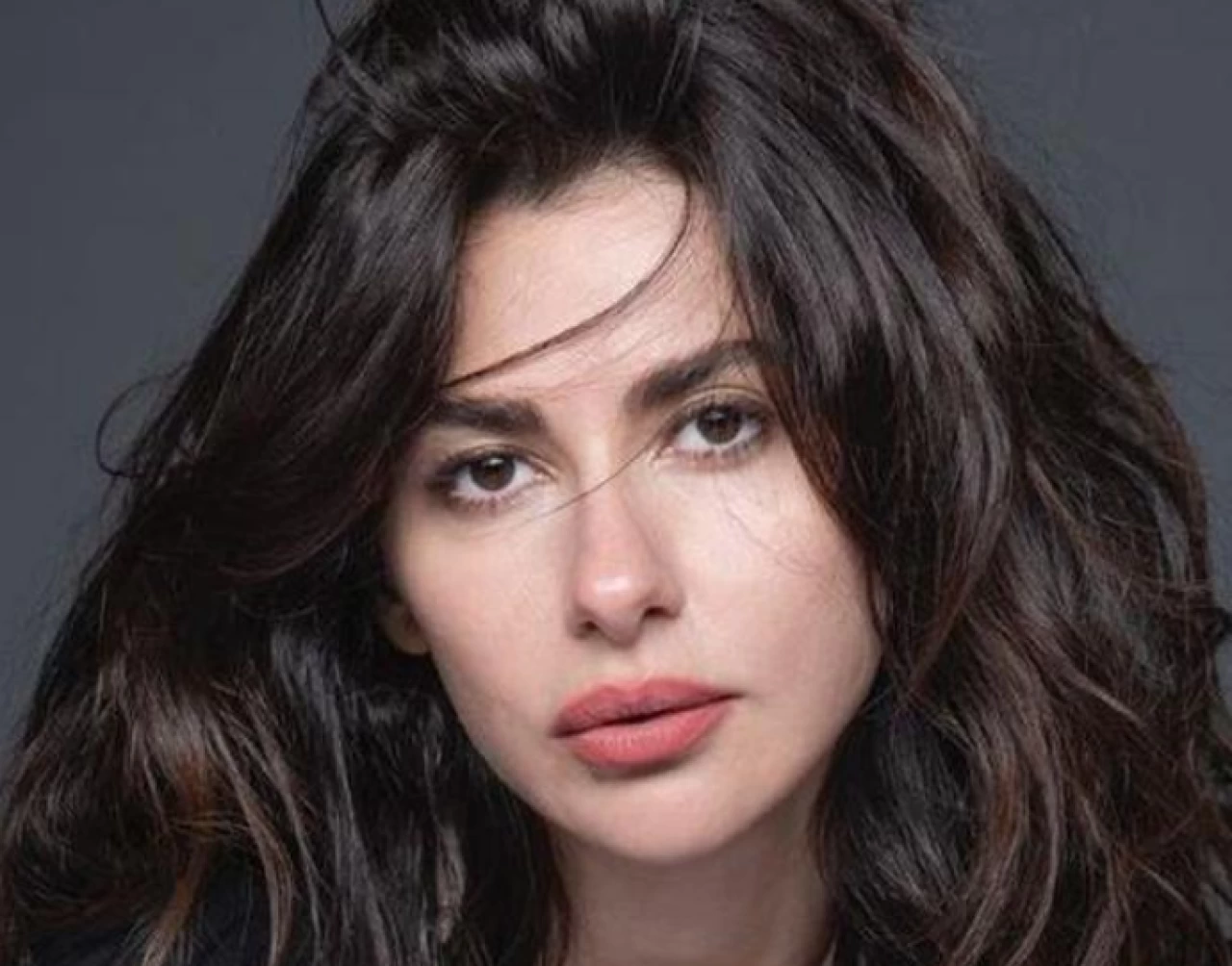 Nesrin Cavadzade Evli Mi, Babası Kim, TV Dizileri, Oynadığı Diziler, Annesi Kim, Aslen Nereli, Alevi Mi?