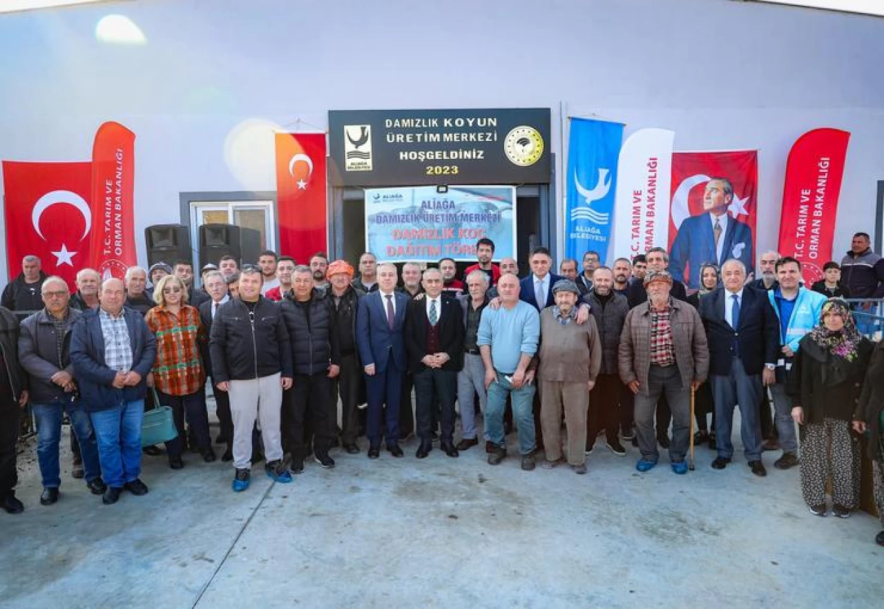 Aliağa'da Damızlık Koyun Üretim Merkezi'nde İlk Koç Dağıtımı Gerçekleştirildi
