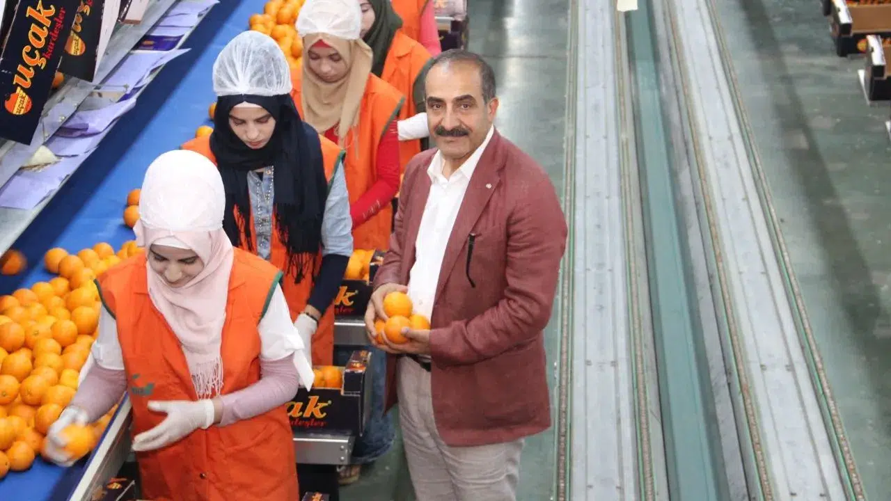 Satsuma mandalinanın ihracat yolculuğu 17 Ekim’de başlıyor