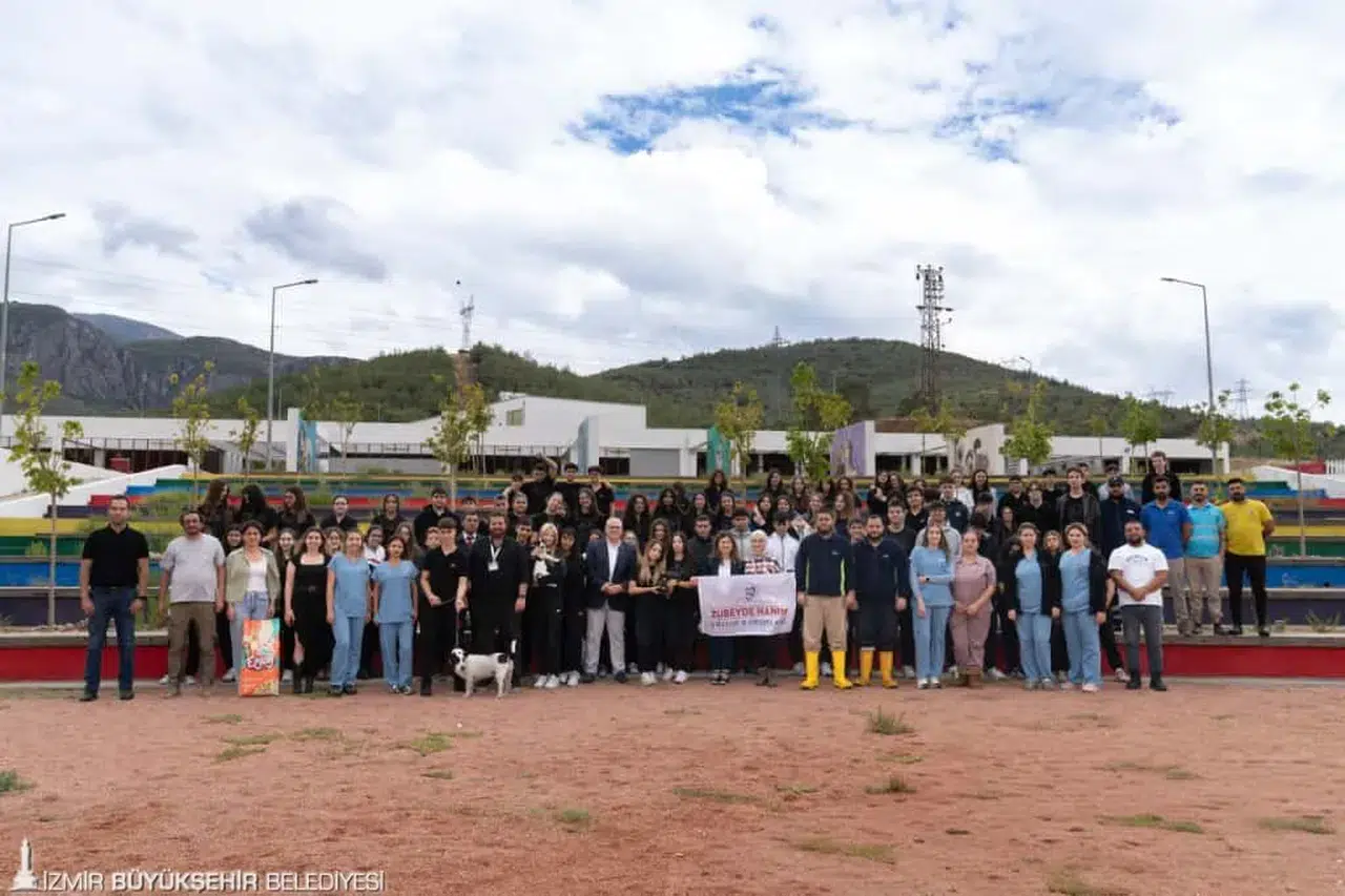 Sahipsiz hayvanlara kötü muamele son bulsun