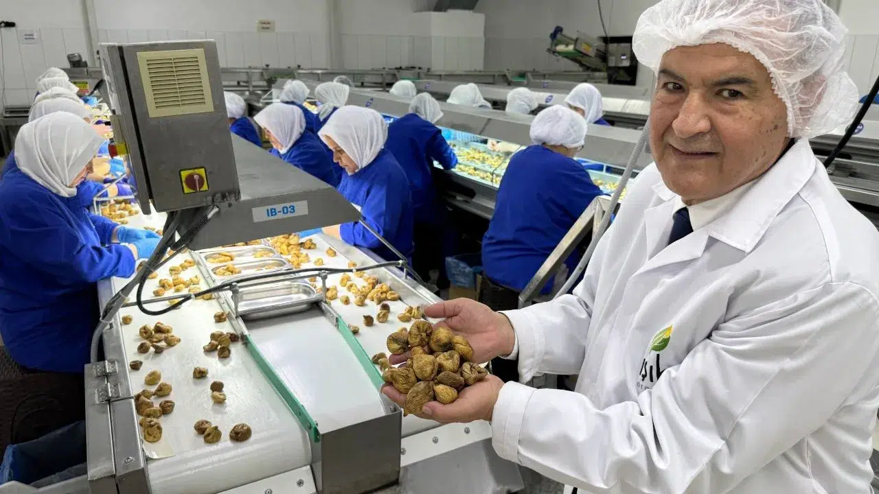 Türk kuru incir ihracatçılarından Avrupa Birliği’ne; “Kuru incirde ev ödevimizi yapıyoruz” mesajı