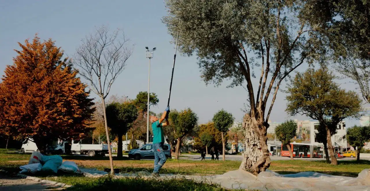 BALÇOVA BELEDİYESİ’NDEN KENTİN BEREKETİNE SAHİP ÇIKAN ÖRNEK ÇALIŞMA