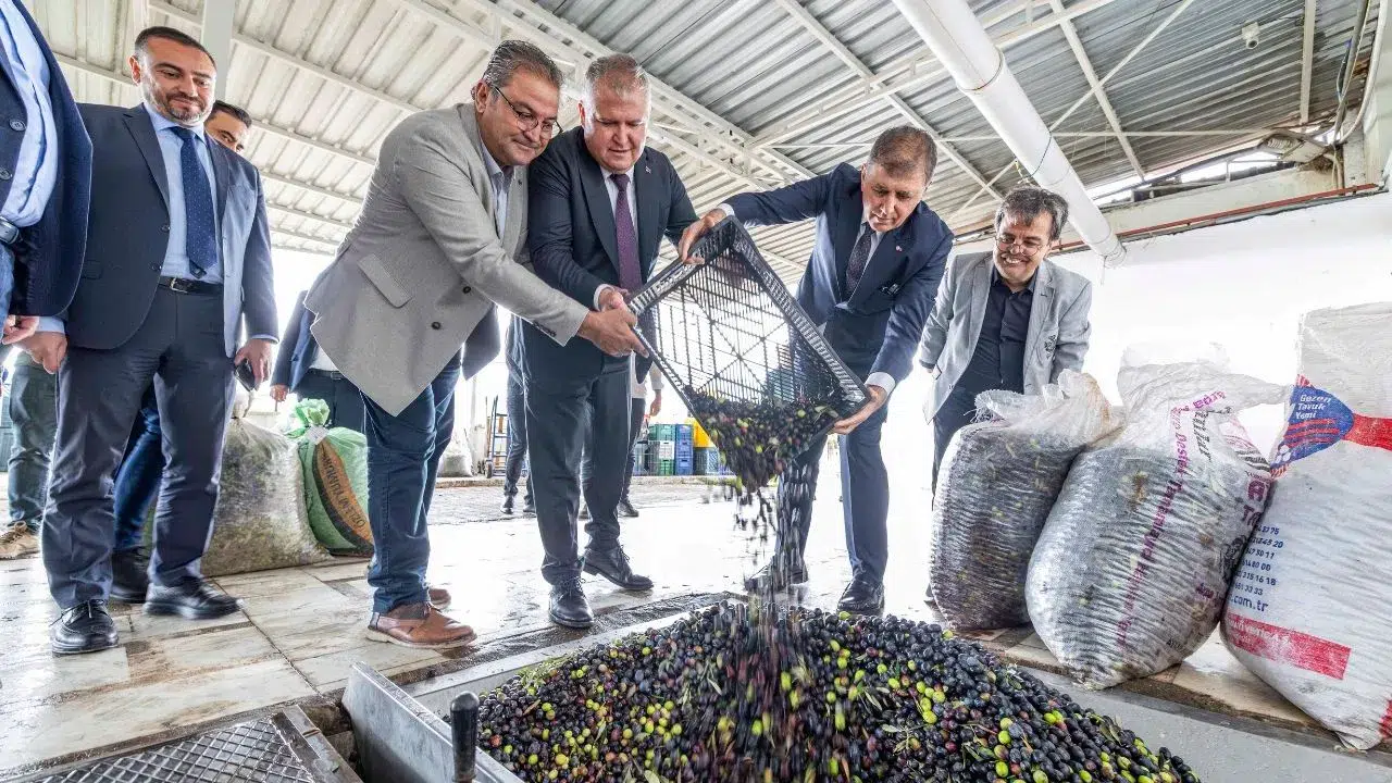 Zeytinin Kültürel Yolculuğu, Sanatın Evrensel Diliyle Urla’da Canlanıyor