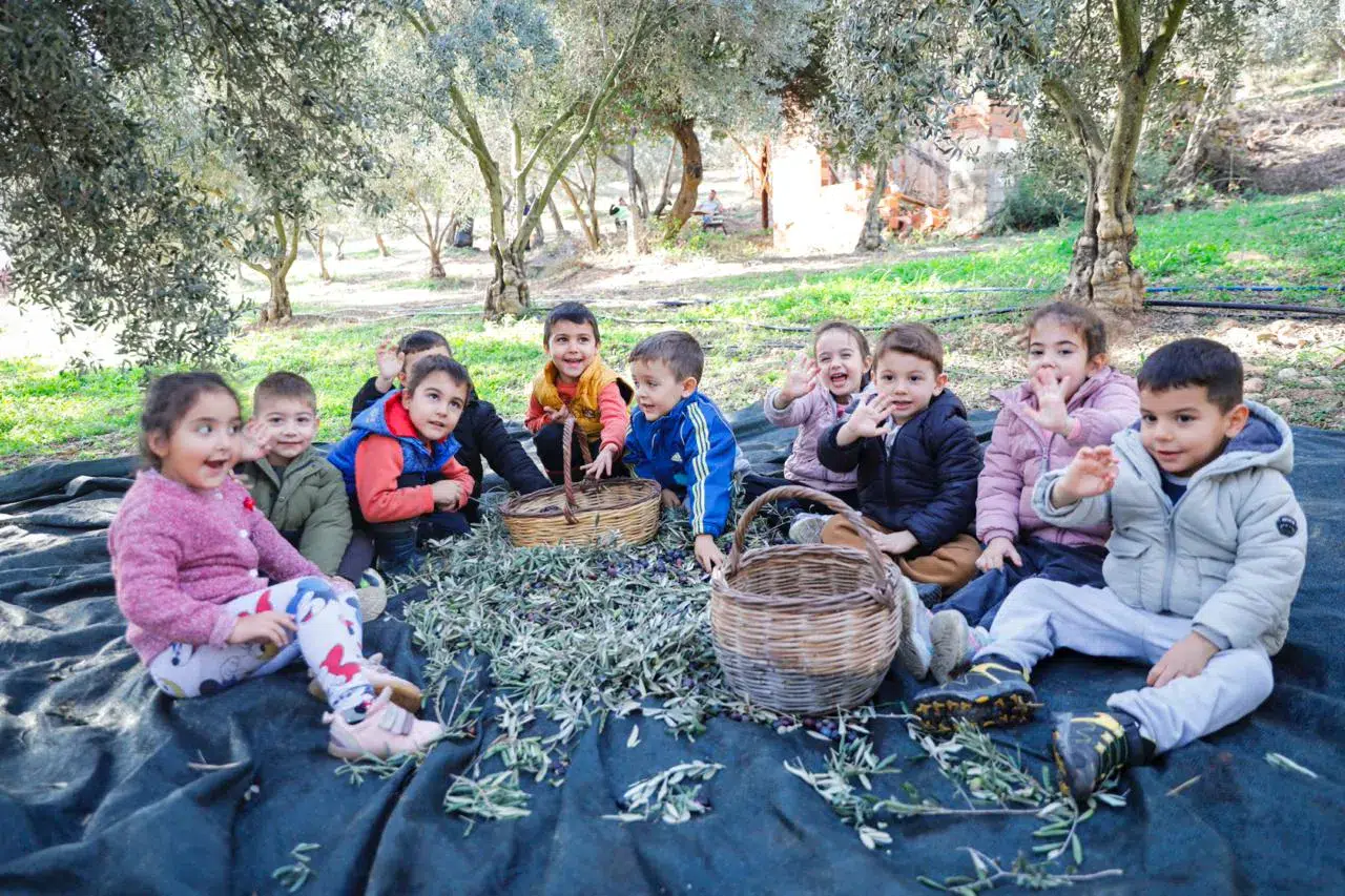 Seferihisar Belediyesi’nden örnek proje; Çocukların topladığı zeytinler sofralara bereket olacak