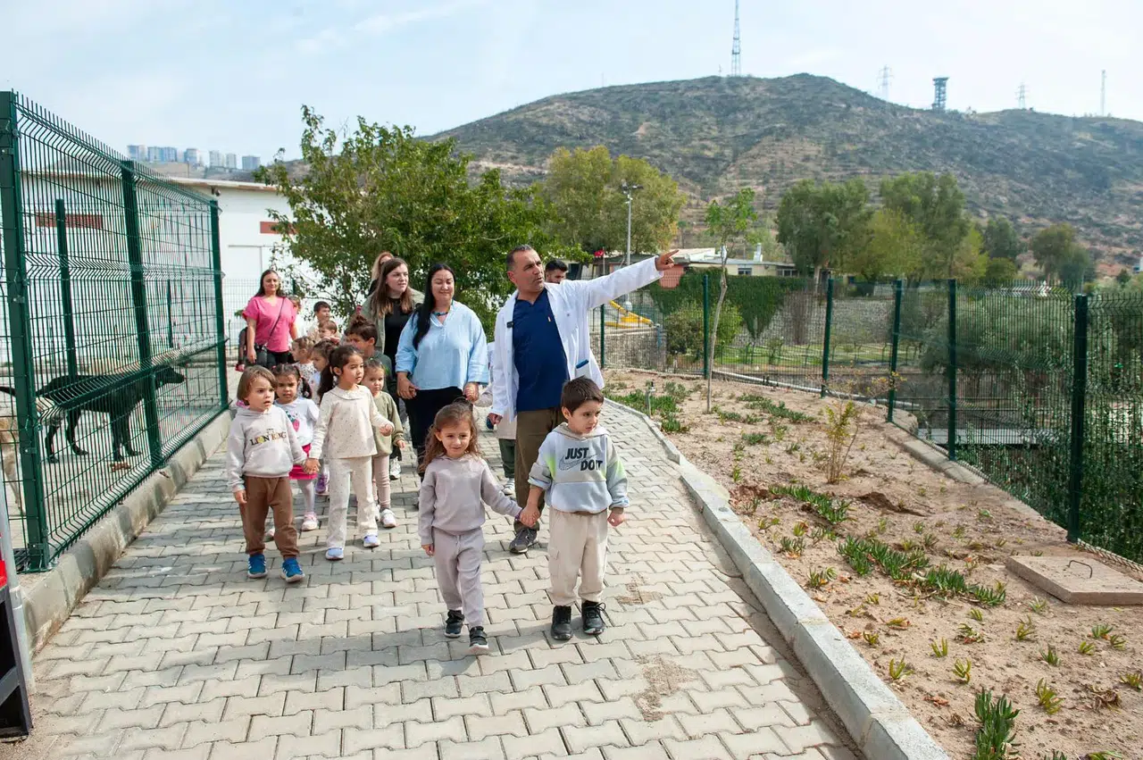 1 yılda 40 bin can dosta şefkat eli uzandı