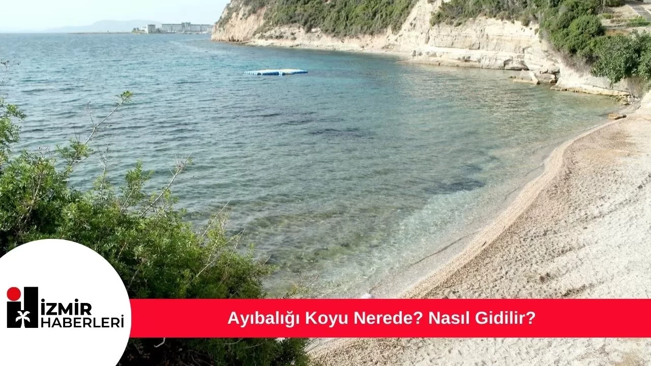 Ayıbalığı Koyu Nerede? Nasıl Gidilir?