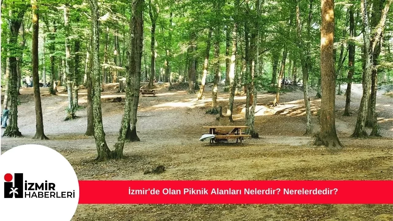 İzmir'de Olan Piknik Alanları Nelerdir? Nerelerdedir?