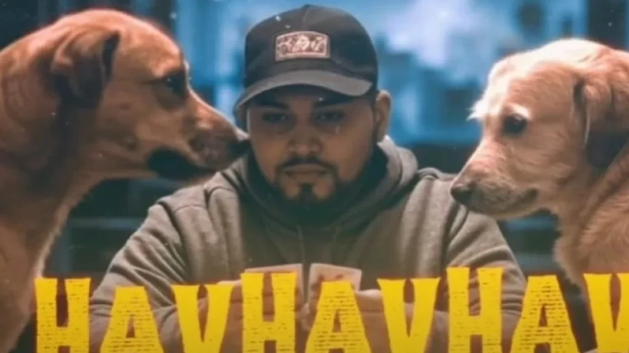 Z kuşağı rapçisi Lvbel C5'in "HavHavHav" şarkısı CİMER'e şikayet edildi