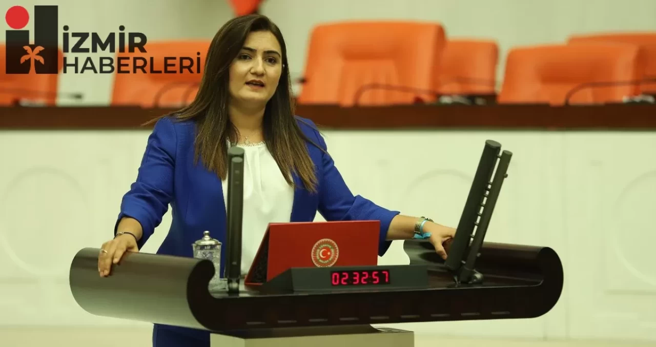 Sevda Erdan Kılıç’tan Çarpıcı Teklif: Cumhurbaşkanına Hakaret Suçu Kaldırılsın!
