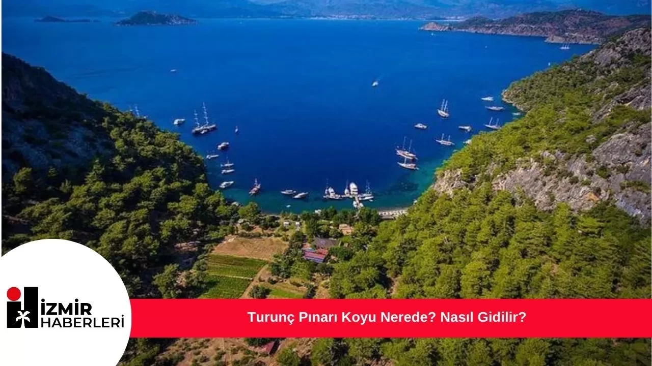 Turunç Pınarı Koyu Nerede? Nasıl Gidilir?