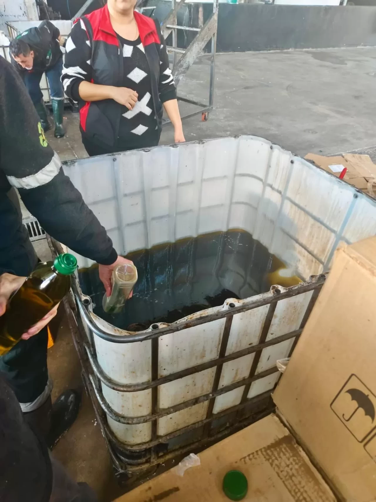 İzmir Kemalpaşa'da Şok Denetim! Sahte Zeytinyağı Skandalı Ortaya Çıktı