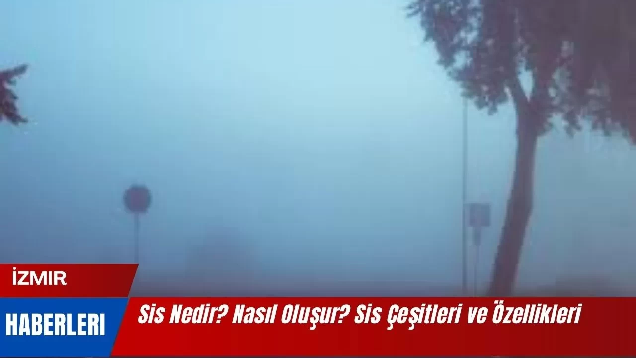 Sis Nedir? Nasıl Oluşur? Sis Çeşitleri ve Özellikleri