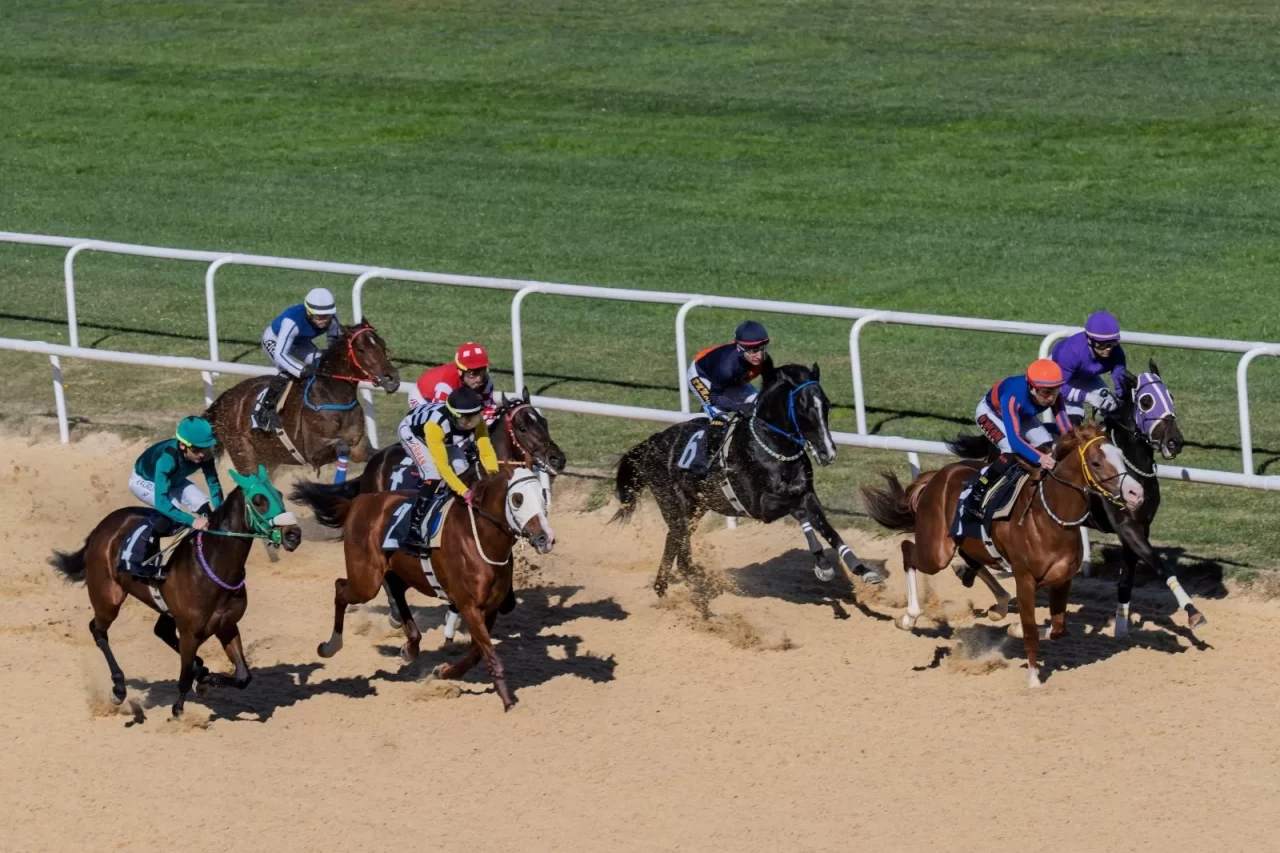 İzmir Büyükşehir Belediye Başkanlığı Koşusu gerçekleştirildi