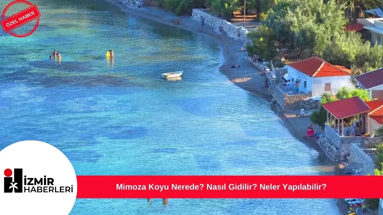 Mimoza Koyu Nerede? Nasıl Gidilir? Neler Yapılabilir?