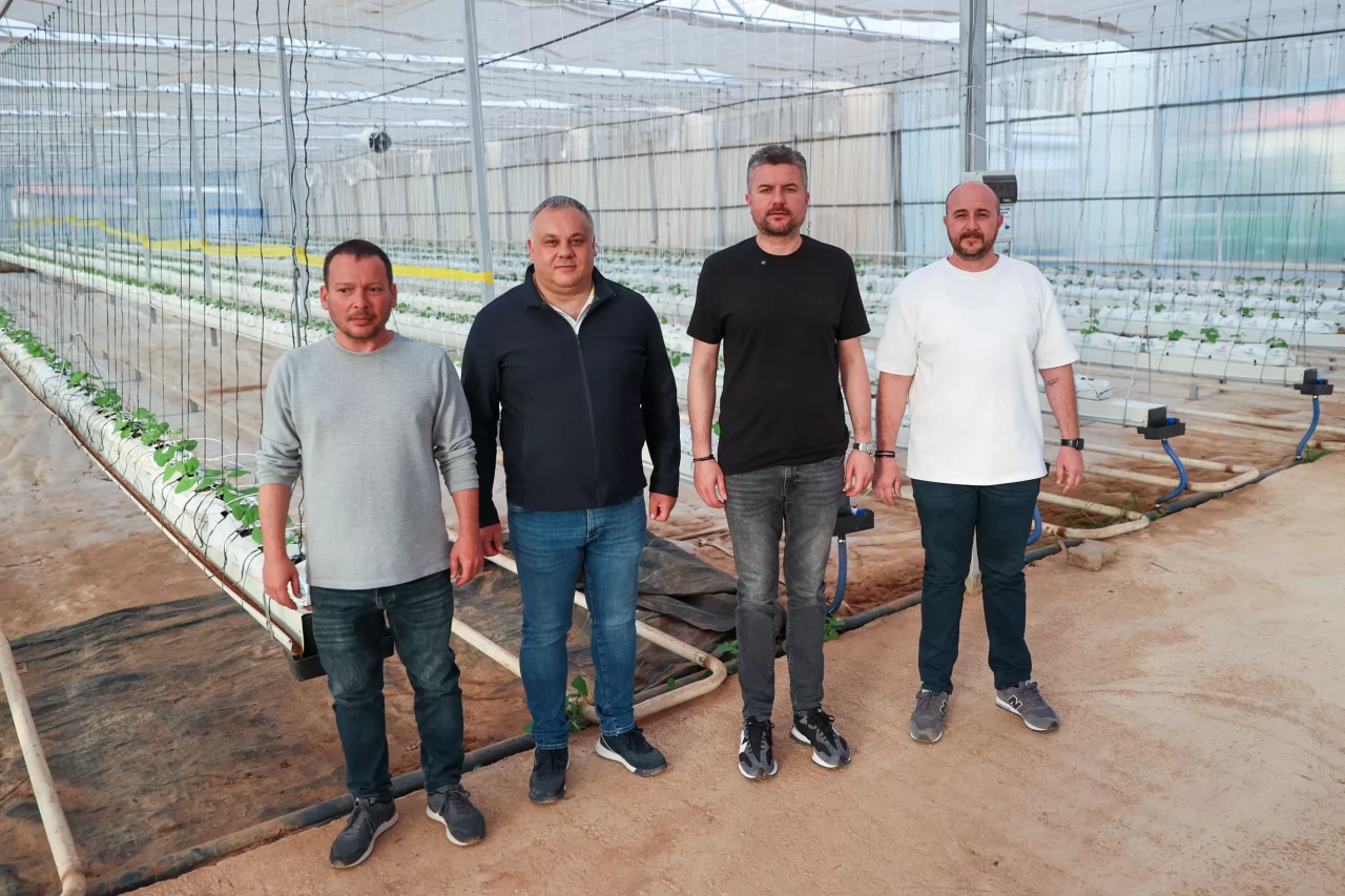 Buca'da sürdürülebilir tarım atağı: Topraksız serada maksimum verim hedefleniyor