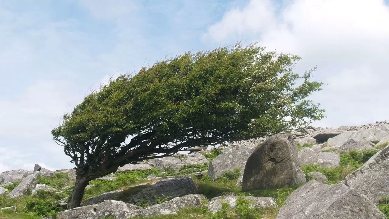 20 Mart 2025 İzmir Hava Durumu: Rüzgar Kıyı Şeridini Vuracak!