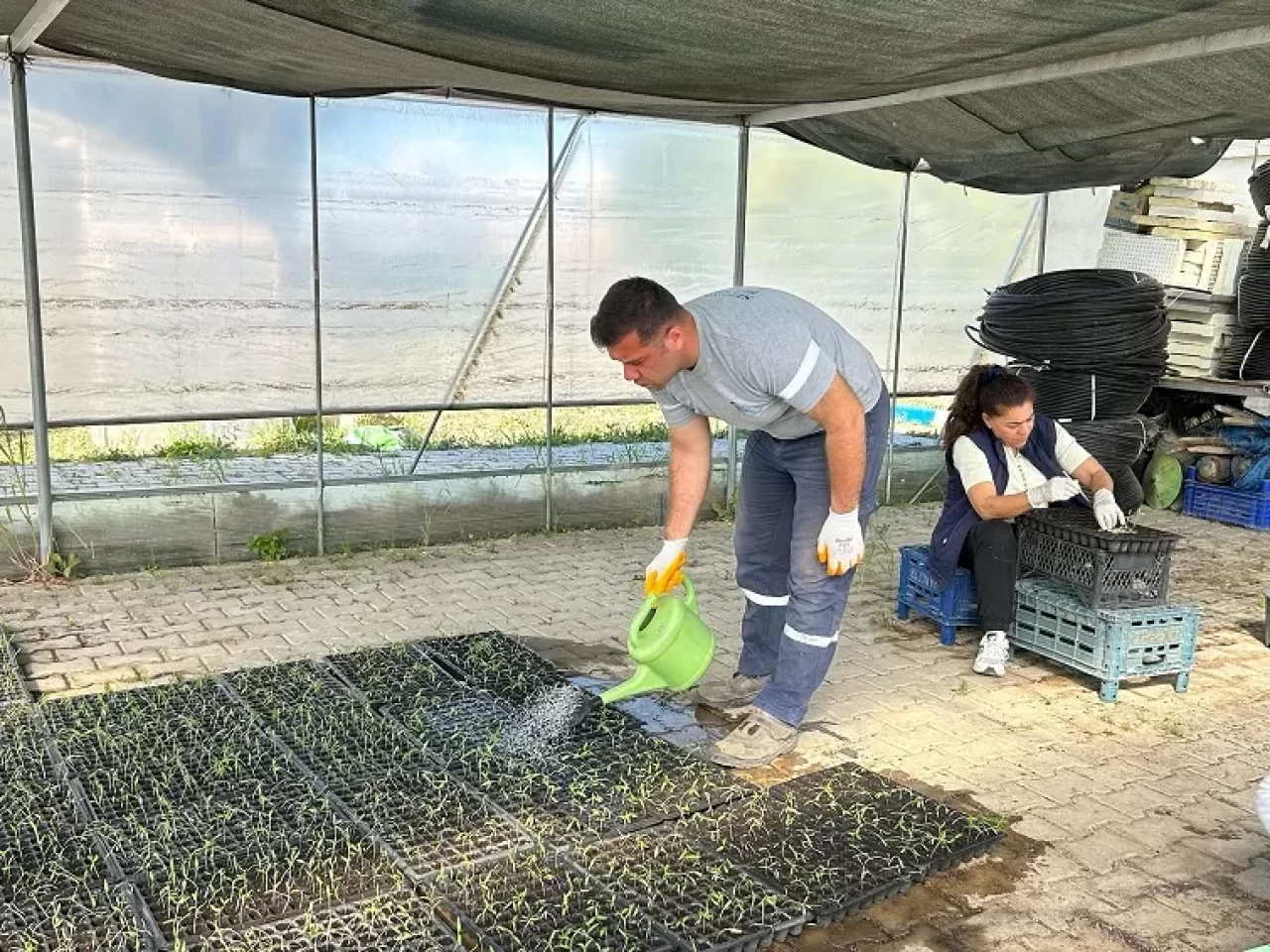 Seferihisar'da 15. Tohum Takas Şenliği'nde yüz bin fide dağıtılacak