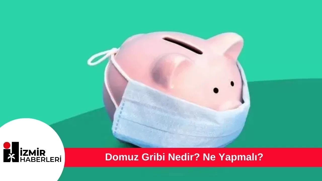 Domuz Gribi Nedir? Ne Yapmalı?
