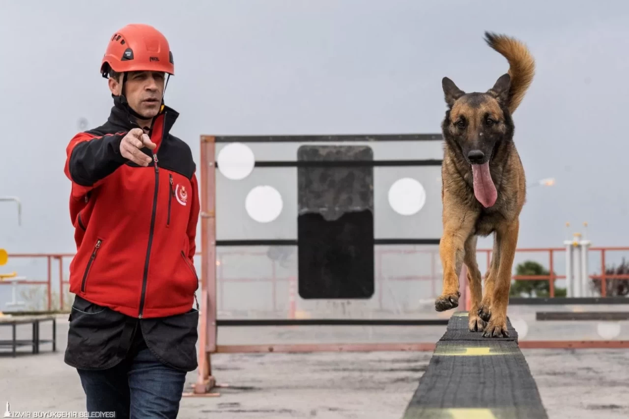 Eğitimli Arama Kurtarma Köpekleri Can Kurtarıyor, Mucizeler Bitmiyor