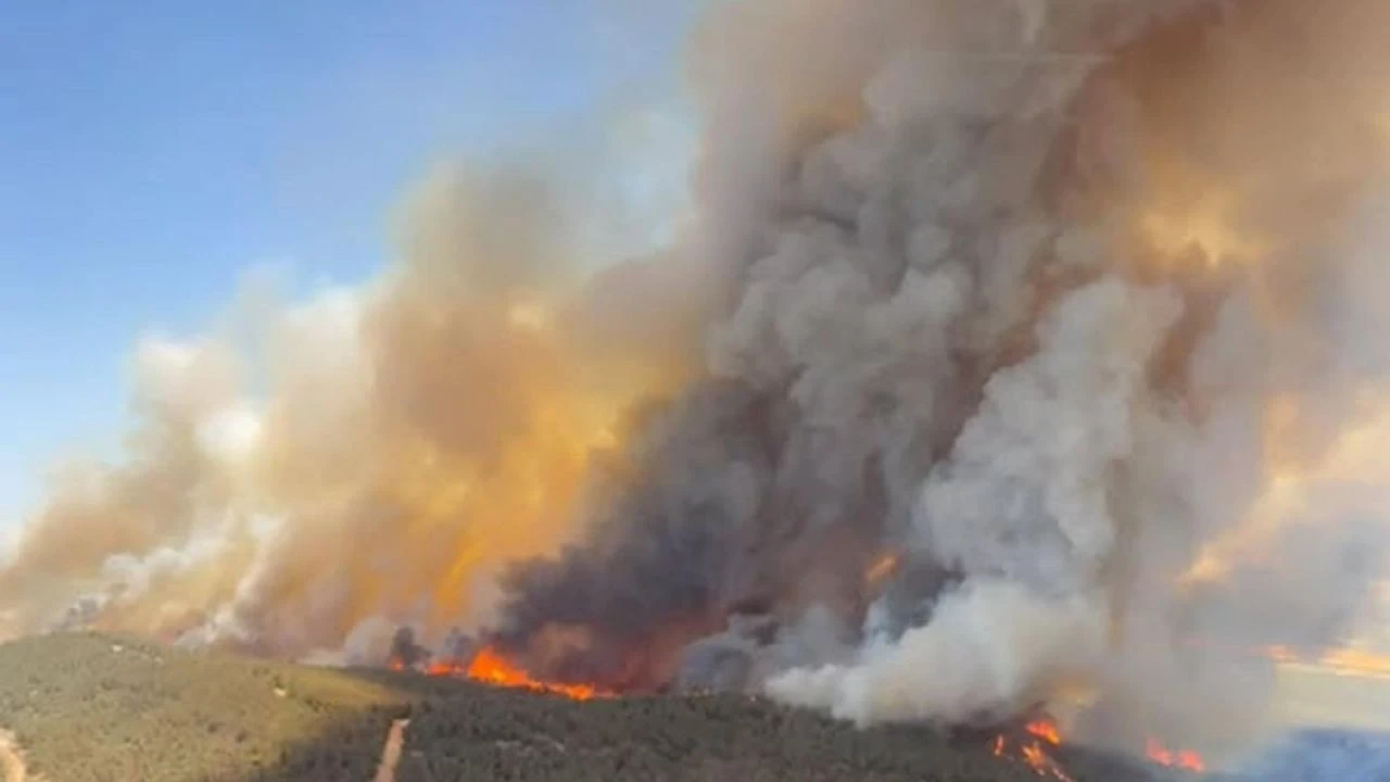 Foça’nın Kalbinde Orman Yangını!