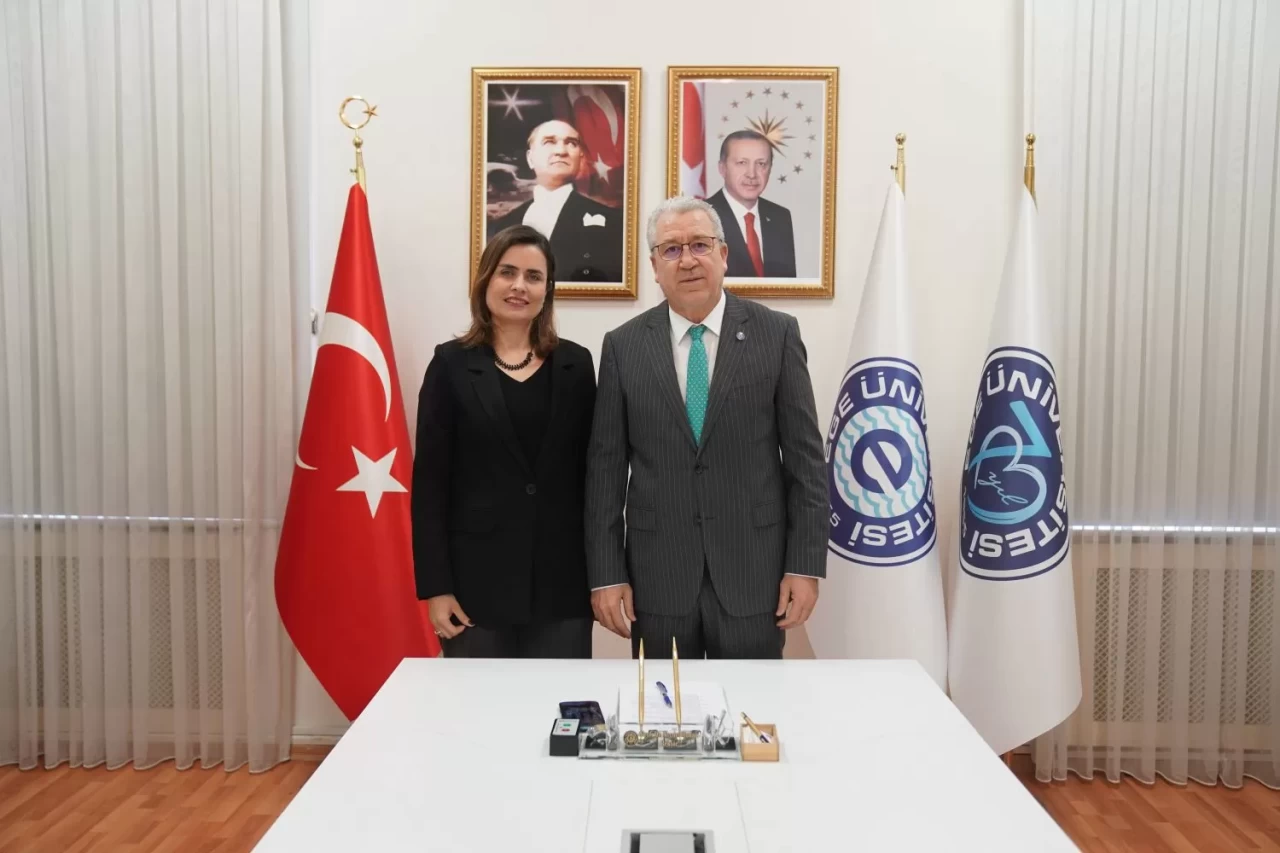 Kalça kırıklarının önlenmesine yönelik sandviç kumaşlardan kalça koruyucular geliştirildi