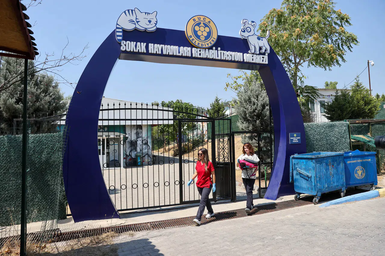 Buca'da 212 patili dost daha yeni ailesine kavuştu