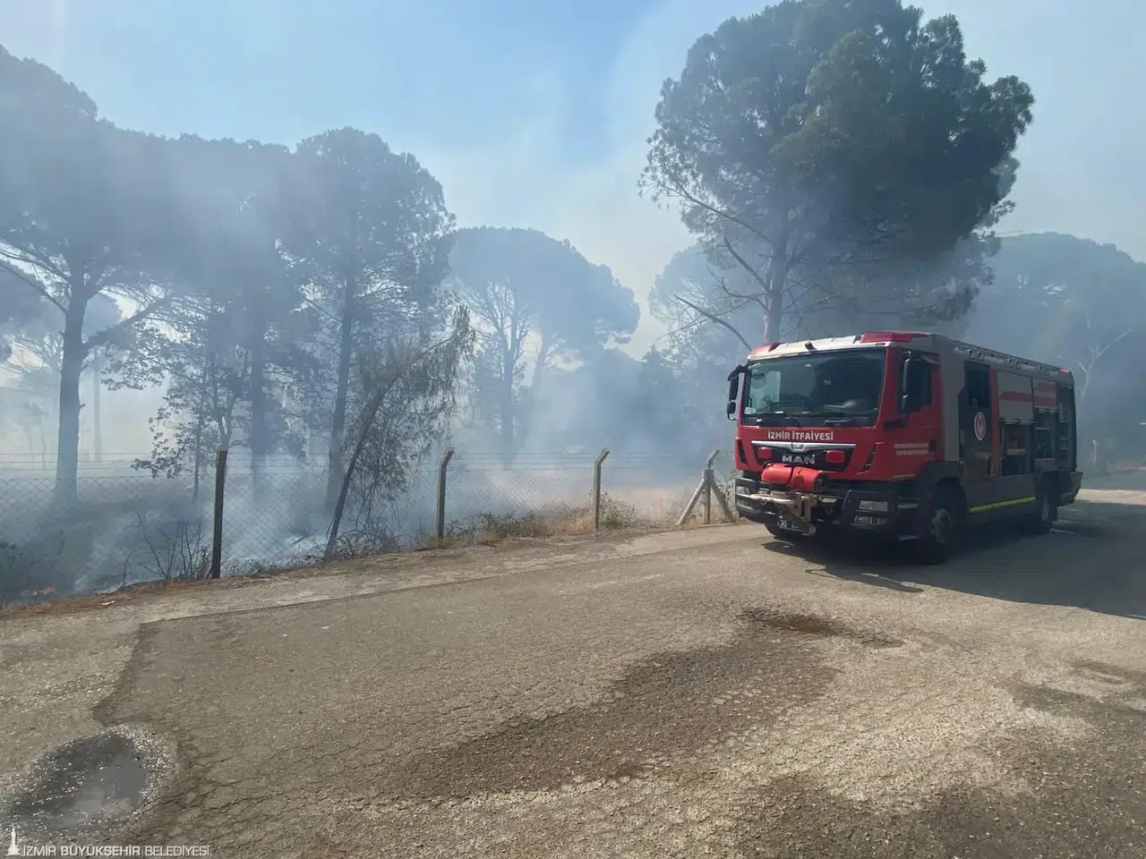 Bergama’da orman yangınına acil müdahale başlatıldı