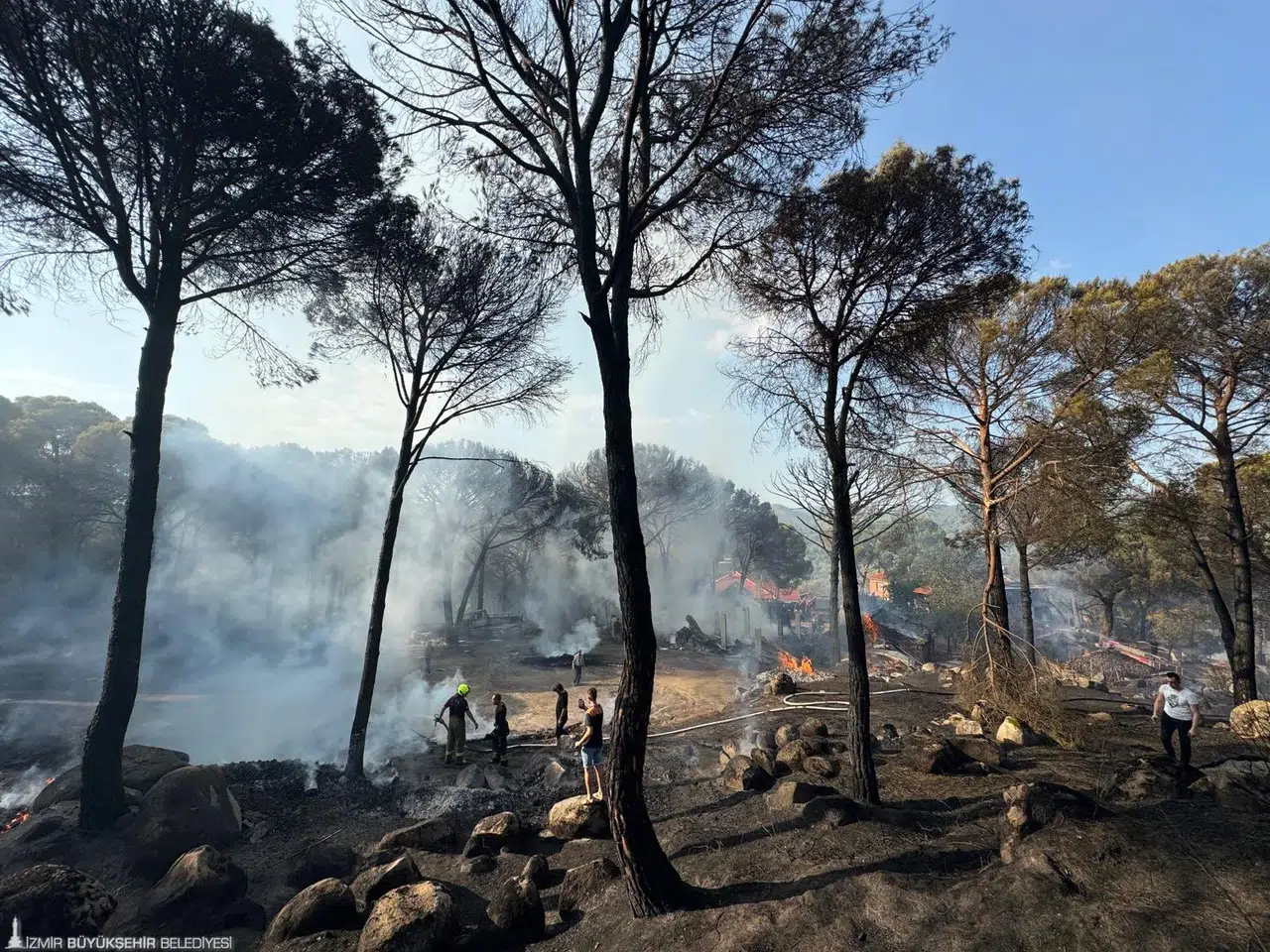 İzmir İtfaiyesi Bergama’da alevlerle mücadele ediyor