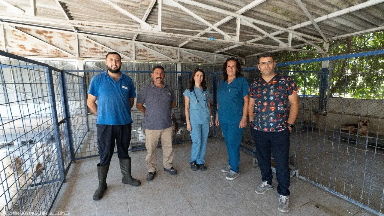 İzmir’de el konulan 20 cins köpek Işıkkent Köpek Bakımevi’nde