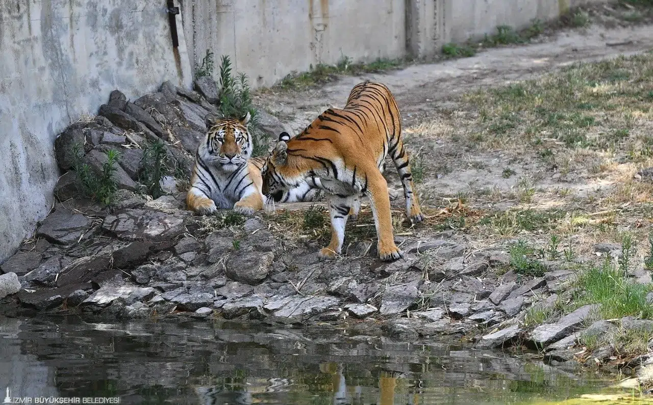 Doğal Yaşam Parkı’nda kış saati uygulaması başlıyor