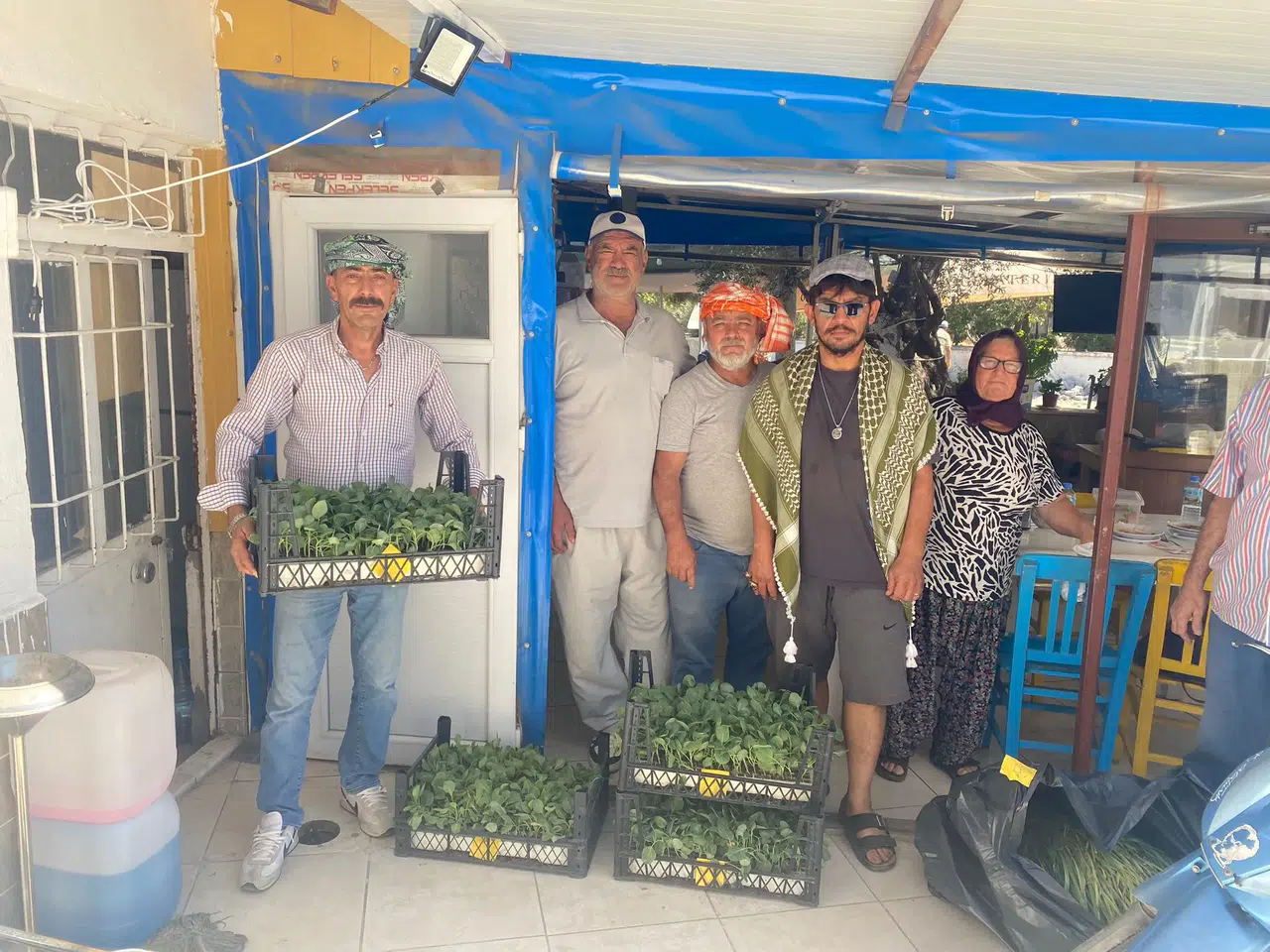 Urla Belediyesi’nden üreticiye 50 bin adet sebze fidesi