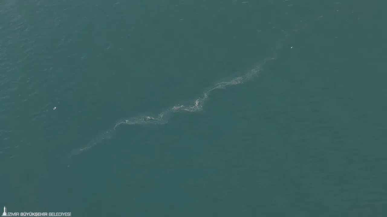 “Sistematik çevre ihlali endişe veriyor”