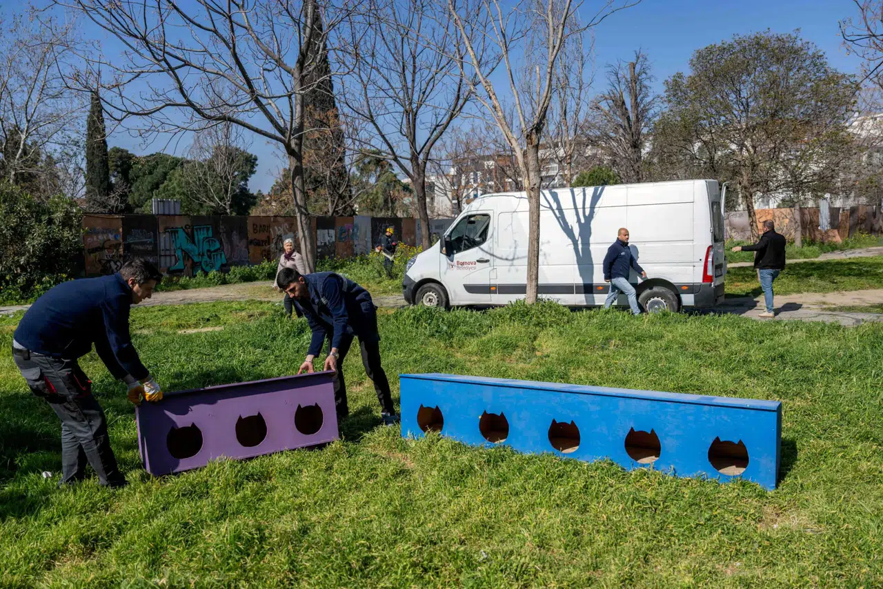 Paterson Köşkü çevresi yeniden yaşam alanına dönüştü