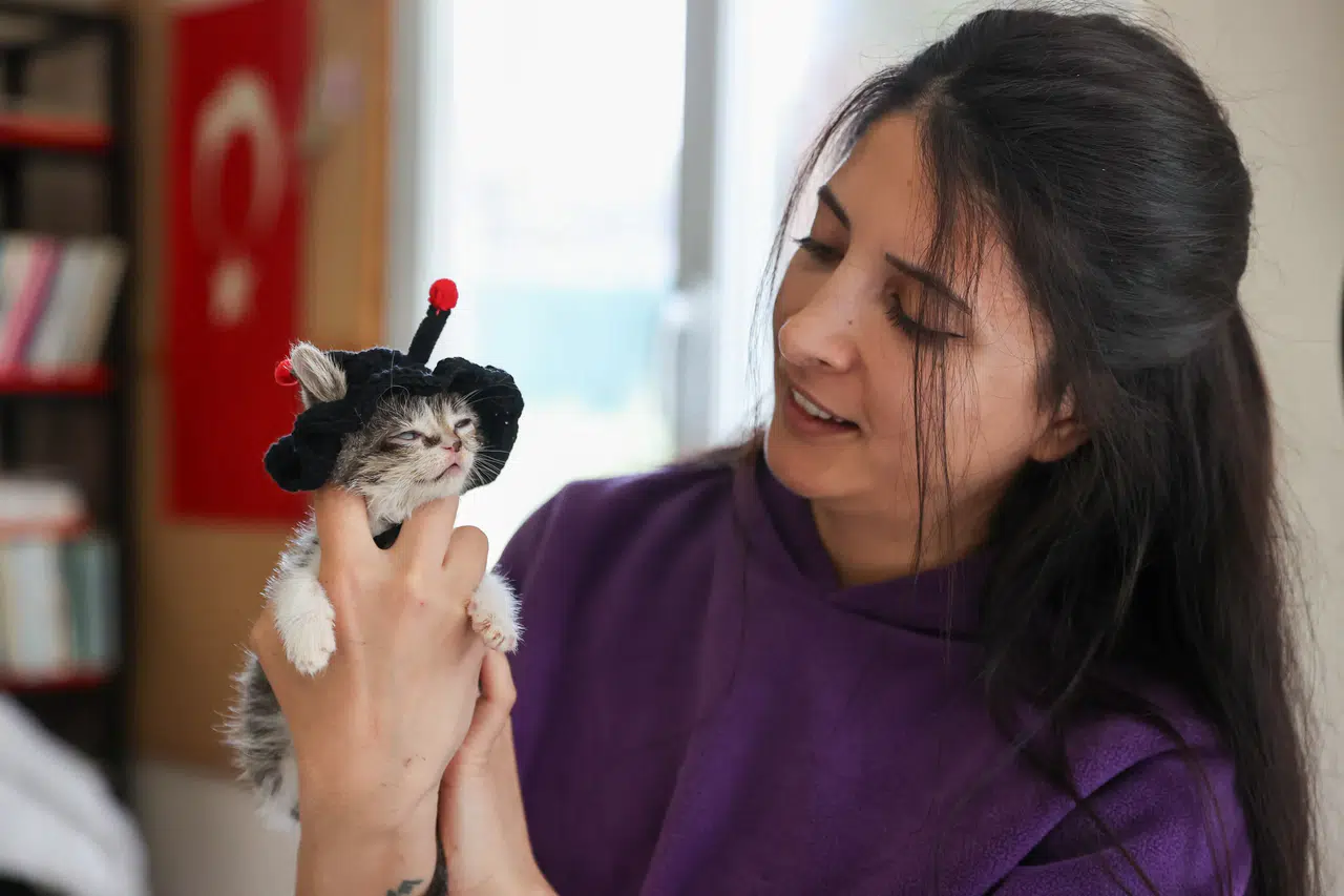 Yaşama ihtimali ‘sıfır’ olan Zero hayata tutundu