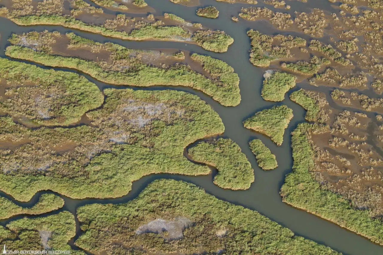 Gediz Havzası’nda kirlilik artıyor