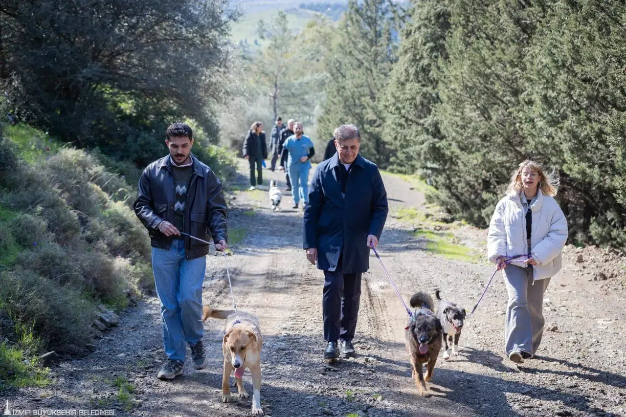 Barınaklardan 3 binin üzerinde hayvan sahiplendirildi