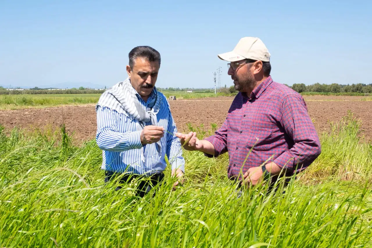 Başkan Kırgöz traktör başında: “Bereketli bir sezon olsun”