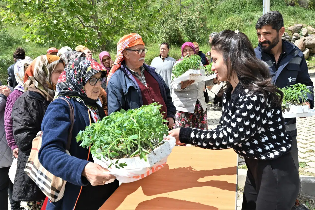 Bornova, Üreticilere Destek Verdi: 150 Bin Yazlık Sebze Fidesi Dağıtıldı!