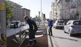İzmir’in çehresi su tasarruflu bitkilerle güzelleşiyor