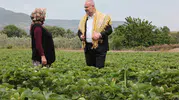 En lezzetli Festival için geri sayım başladı