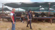 Çiğli’de Kurban Bayramı Denetimleri Aralıksız Sürüyor
