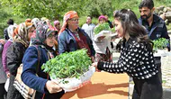 Bornova, Üreticilere Destek Verdi: 150 Bin Yazlık Sebze Fidesi Dağıtıldı!