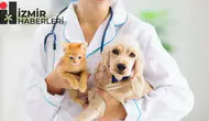 Veteriner hekimlere dev ceza: Meslekten men edilmesine rağmen çalışanlar yandı