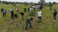 ​Aliağa’da yangınların yarası bin fıstık çamıyla sarıldı