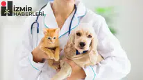 Veteriner hekimlere dev ceza: Meslekten men edilmesine rağmen çalışanlar yandı